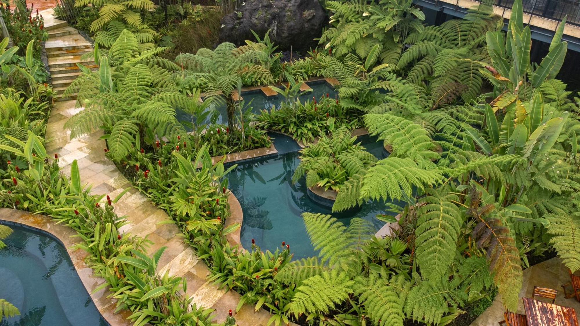 Hotel Termales El Otoño Manizales Exterior foto The interior of the Rainforest biome