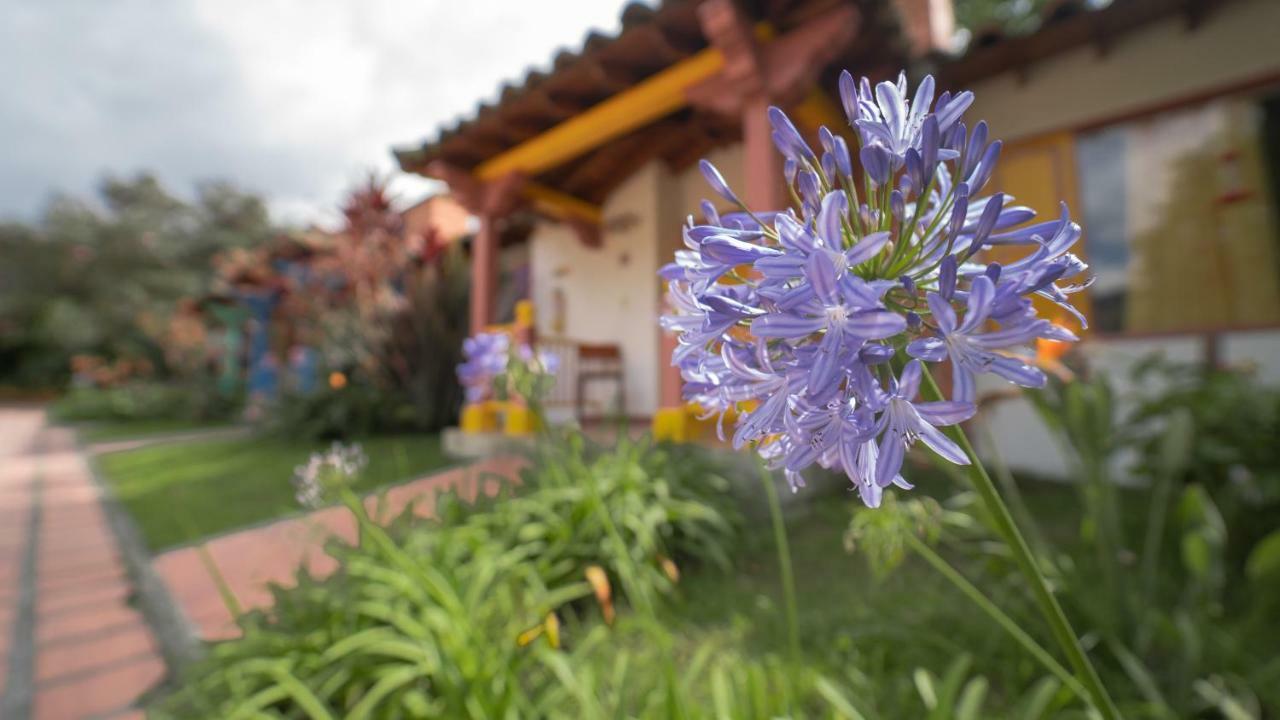 Hotel Termales El Otoño Manizales Exterior foto Agapanthus africanus
